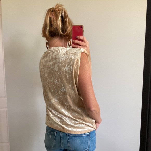 Beige Color Velvet Sleeveless Top - Picture 6 of 10